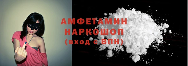 шишки Сосновый Бор