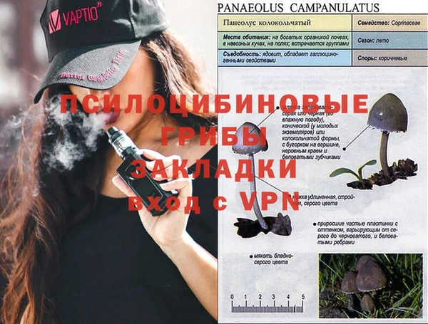 MDMA Premium VHQ Козельск