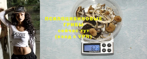 твердый Киреевск