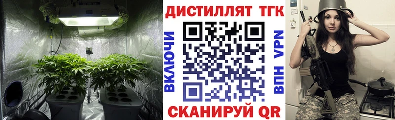 ТГК жижа  Купить где  Выборг 